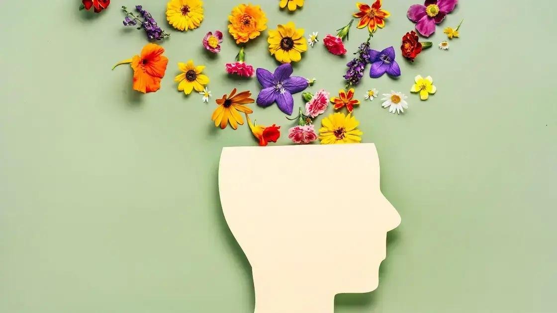 Como escolher o plano ideal para você